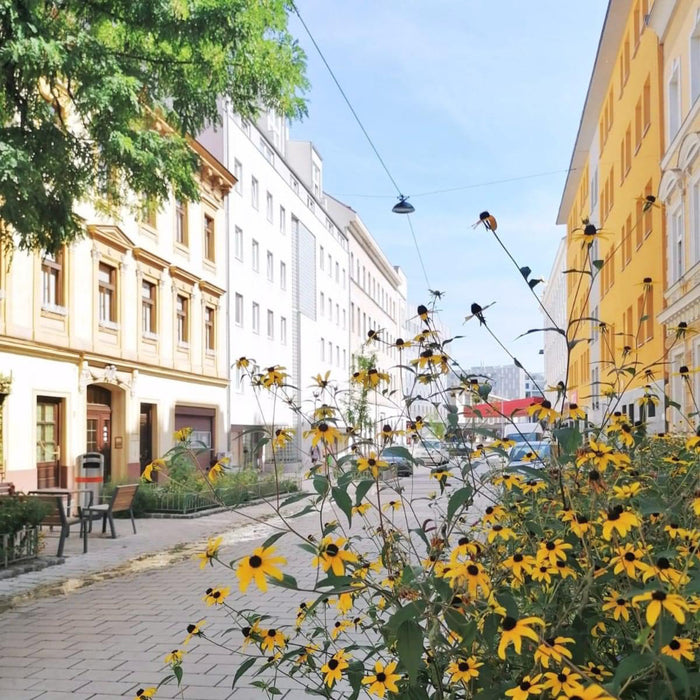 Städtetrip nach Wien für 2 Erwachsene + 1 Kind - HOTELBOX