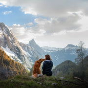 HOTELBOX Urlaub mit Hund - HOTELBOX